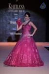 Bolly Celebs at IIJW Delhi 2013 Event - 27 of 54
