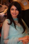 Bolly Celebrities at International Diamond Day Celebrations - 18 of 55