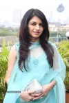 Bolly Celebrities at International Diamond Day Celebrations - 35 of 55