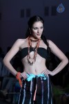 Bolly Celebs at IRFW 2013 Day 3 - 13 of 41