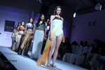 Bolly Celebs at IRFW 2013 Day 3 - 15 of 41
