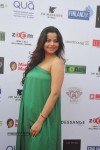 Bolly Celebs at IRWF 2013 Day 2 - 43 of 105