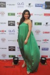 Bolly Celebs at IRWF 2013 Day 2 - 58 of 105