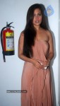 Bolly Celebs at Kashmakash Movie Special Show - 48 of 48