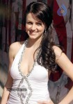 Bolly Celebs at Kingfisher Calendar 2011 Launch - 43 of 57