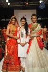 Bolly Celebs at LFW 2013 Winter Festive - 01 - 79 of 111
