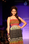 Bolly Celebs at LFW 2013 Winter Festive - 02 - 69 of 100