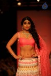 Bolly Celebs at LFW Winter Festive 2013 Day 4 - 14 of 109