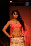 Bolly Celebs at LFW Winter Festive 2013 Day 4 - 24 of 109