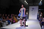 Bolly Celebs at LFW Winter Festive 2013 Day 4 - 38 of 109