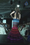 Bolly Celebs at LFW Winter Festive 2014 Grand Finale - 22 of 67