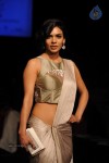 Bolly Celebs at LFW Winter Festive 2014 Grand Finale - 33 of 67