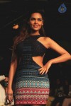 Bolly Celebs at LFW Winter Festive 2014 Grand Finale - 36 of 67