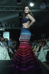 Bolly Celebs at LFW Winter Festive 2014 Grand Finale - 48 of 67