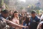 Bolly Celebs at Mumbai Marathon 2011 - 3 of 96