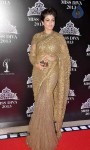 Bolly Celebs at On Red Carpet of Miss Diva 2013 - 6 of 22