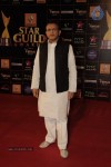 Bolly Celebs at Renault Star Guild Awards 2013 - 1 of 112