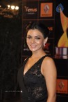 Bolly Celebs at Renault Star Guild Awards 2013 - 5 of 112