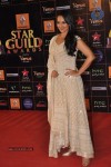 Bolly Celebs at Renault Star Guild Awards 2013 - 11 of 112