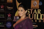 Bolly Celebs at Renault Star Guild Awards 2013 - 19 of 112
