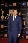 Bolly Celebs at Renault Star Guild Awards 2013 - 20 of 112