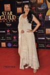 Bolly Celebs at Renault Star Guild Awards 2013 - 21 of 112