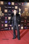Bolly Celebs at Renault Star Guild Awards 2013 - 33 of 112