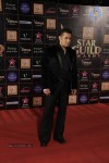 Bolly Celebs at Renault Star Guild Awards 2013 - 34 of 112