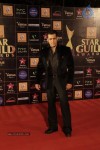 Bolly Celebs at Renault Star Guild Awards 2013 - 35 of 112