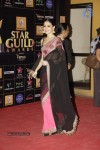 Bolly Celebs at Renault Star Guild Awards 2013 - 63 of 112