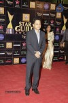 Bolly Celebs at Renault Star Guild Awards 2013 - 68 of 112