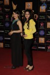 Bolly Celebs at Renault Star Guild Awards 2013 - 72 of 112