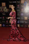 Bolly Celebs at Renault Star Guild Awards 2013 - 100 of 112