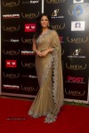 Bolly Celebs at SAIFTA Event - 14 of 40