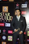 Bolly Celebs at Star Guild Awards 2015 - 11 of 84