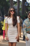 Bolly Celebs at the MID DAY Trophy Event - 17 of 43