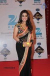 Bolly Celebs at Zee Rishtey Awards 2013 - 47 of 83