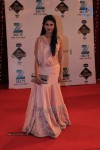 Bolly Celebs at Zee Rishtey Awards 2013 - 66 of 83