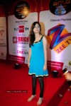 Bolly Celebs at ZEE Tv Boroplus Gold Awards - 34 of 34