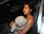 Bolly Celebs Leave for IIFA Awards Event - 39 of 93