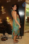 Bolly Celebs Ramp Walk at Blenders Pride Fashion Week - 8 of 42