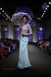 Bolly Celebs Walks the Ramp at AVIBFW- 01 - 3 of 118