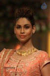 Bolly Celebs Walks the Ramp at AVIBFW- 01 - 4 of 118