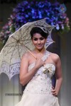 Bolly Celebs Walks the Ramp at AVIBFW- 01 - 32 of 118