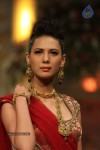 Bolly Celebs Walks the Ramp at AVIBFW- 01 - 76 of 118