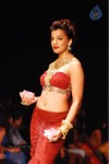 Bolly Celebs Walks the Ramp at IIJW - 129 of 152