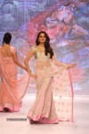 Bolly Celebs Walks the Ramp at IIJW - 35 of 152