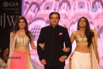 Bolly Celebs Walks the Ramp at IIJW - 61 of 152