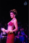 Bolly Celebs Walks the Ramp at IIJW - 111 of 152