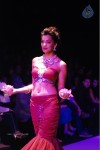 Bolly Celebs Walks the Ramp at IIJW - 146 of 152